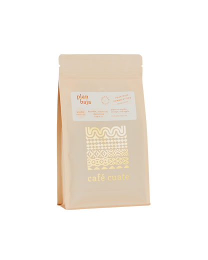 plan baja - chiapas, méxico