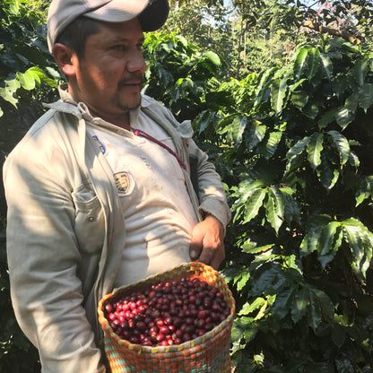cosautlán - veracruz, méxico