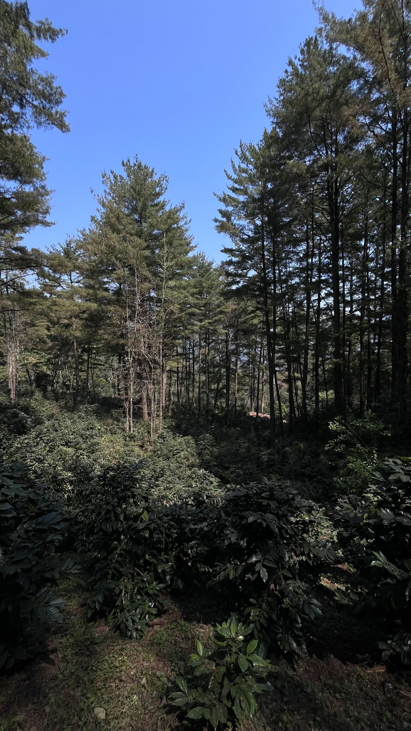 santiago atitlán - oaxaca, méxico