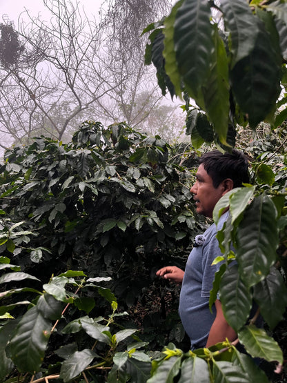 tetela - puebla, méxico