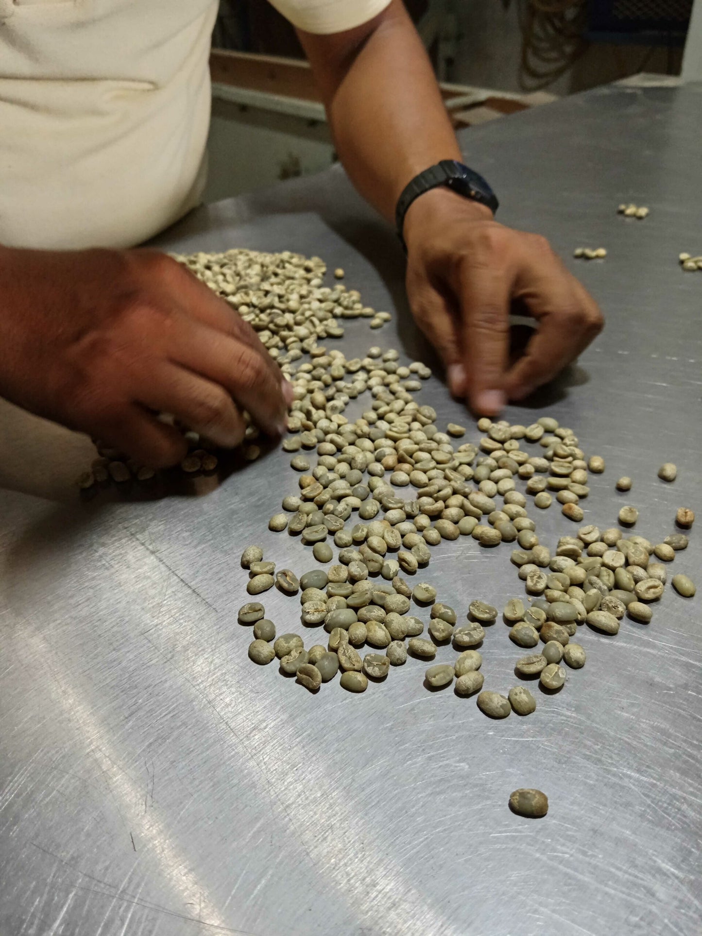 tetela - puebla, méxico