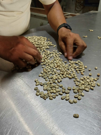 tetela - puebla, méxico